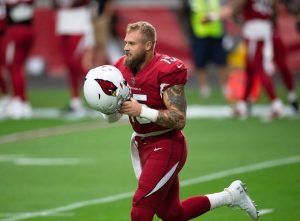 Chris Streveler - Arizona Cardinals QB